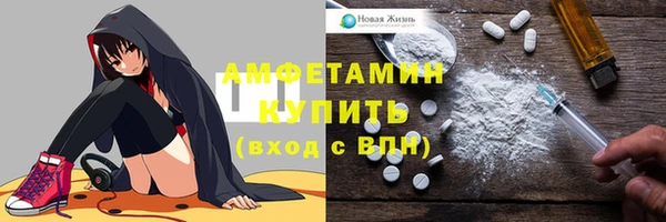 прущие крисы Бородино