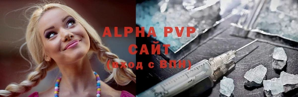 прущие крисы Бородино