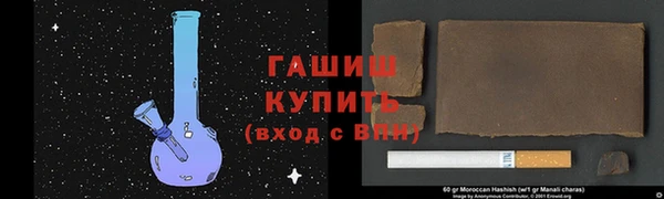 прущие крисы Бородино