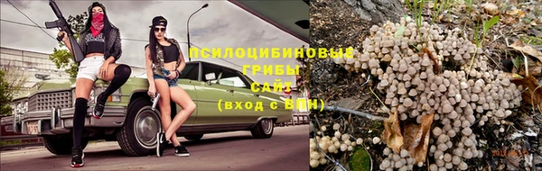 эйфоретик Бронницы