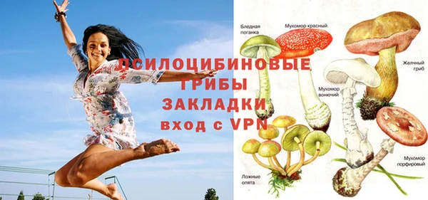 эйфоретик Бронницы