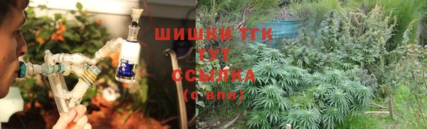 прущие крисы Бородино