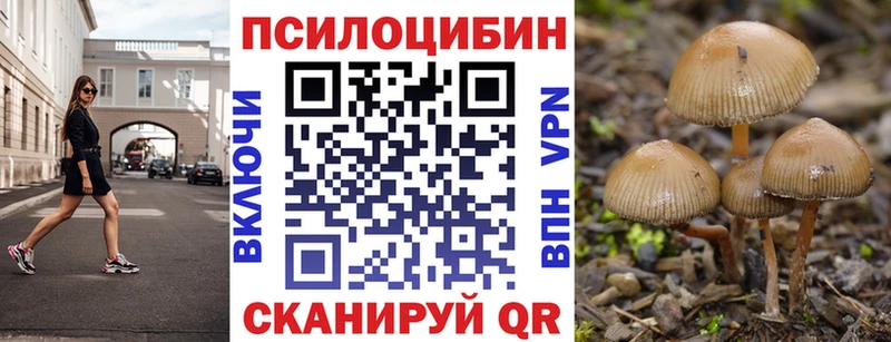 Псилоцибиновые грибы прущие грибы  закладки  Екатеринбург 